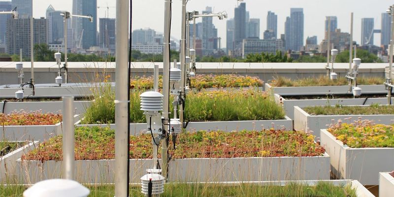 Ontario: Green Roofs