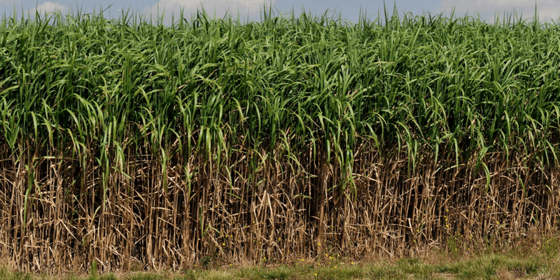 United Kingdom: Pioneering Research in Carbon Sequestration