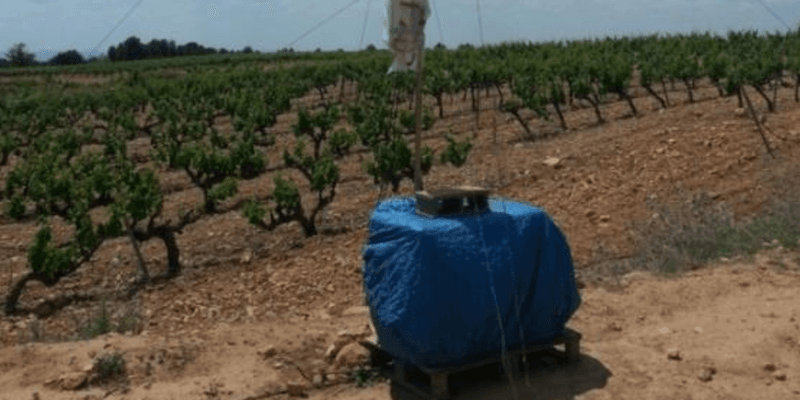 Spain: Strengthening Satellite Validation and Carbon Flux Research