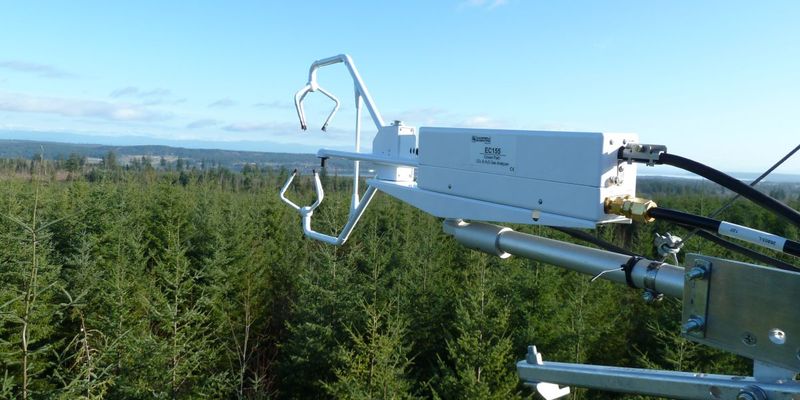 British Columbia: Forest Carbon Sequestration