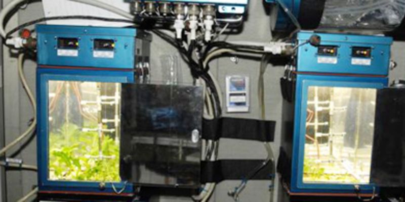 Space Research: Joint Damping Experiment