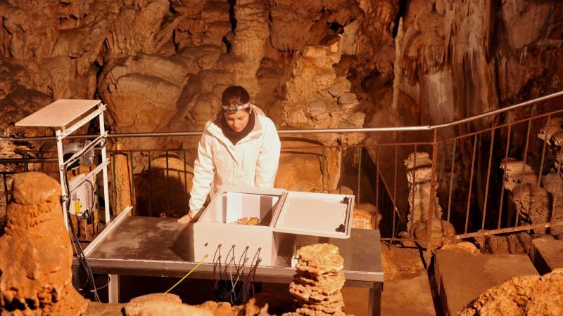 France: Environmental Control for Cave Preservation