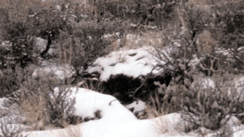 Idaho: Slope Stability Monitoring