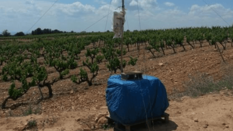 Spain: Strengthening Satellite Validation and Carbon Flux Research