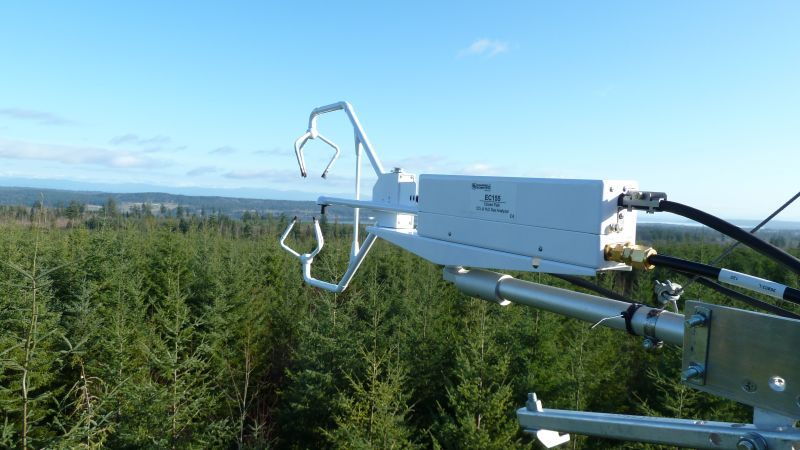 British Columbia: Forest Carbon Sequestration