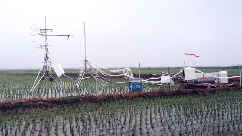 Korea: Flux Monitoring over a Rice Paddy