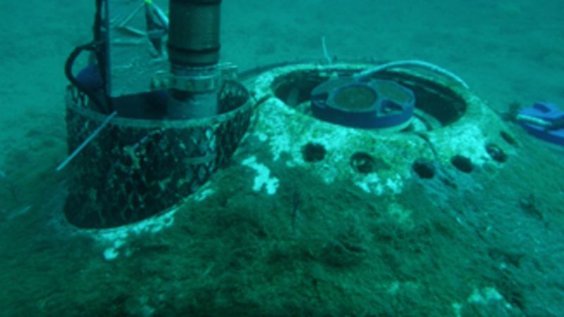 Florida: Oceanography in the Gulf of Mexico