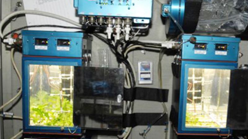 Space Research: Joint Damping Experiment