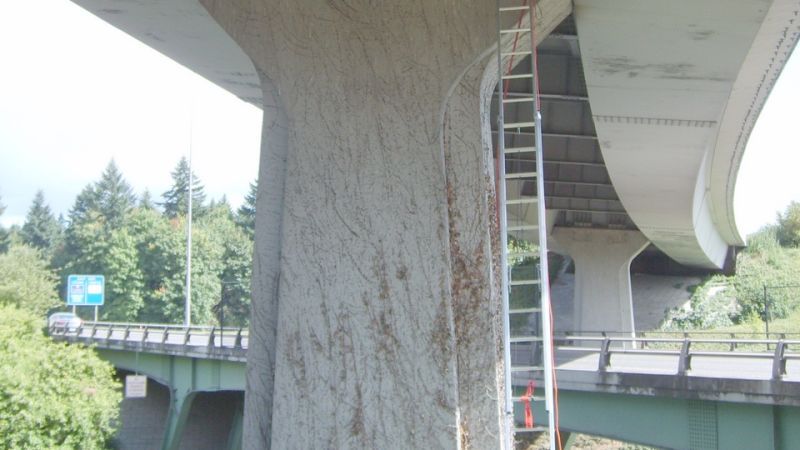 Oregon: Bridge Structural Response