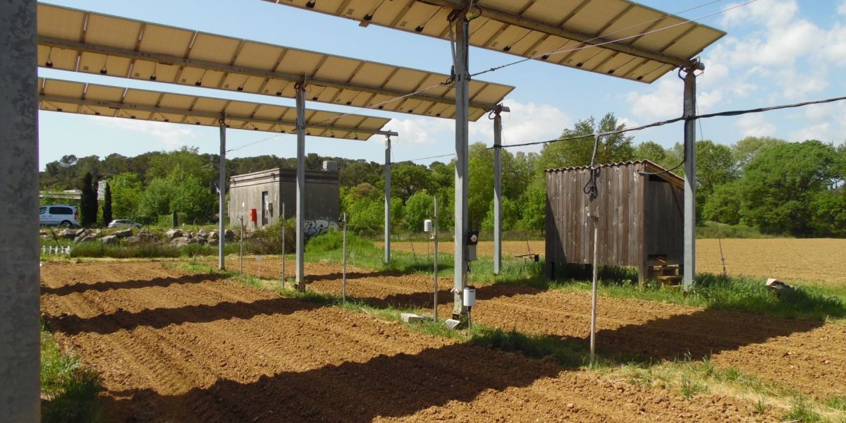 France: Dynamic Agrivoltaism