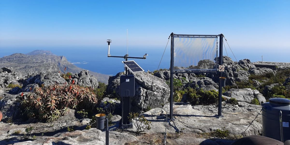 South Africa: Fog Harvesting