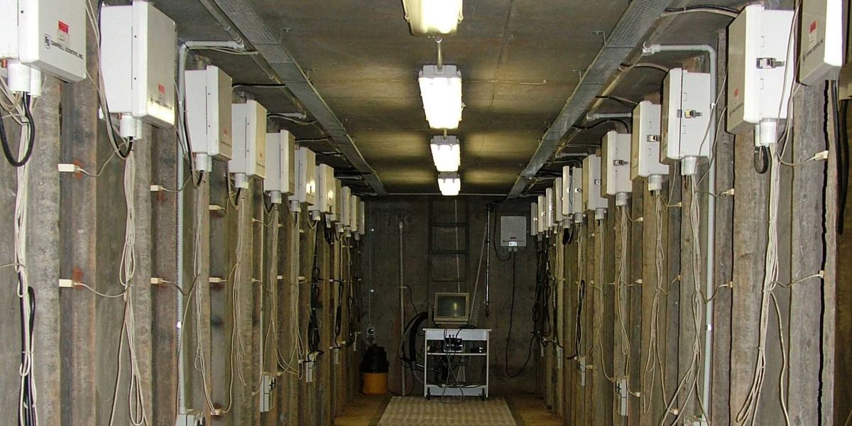 Australia: Rhizolysimeter Facility