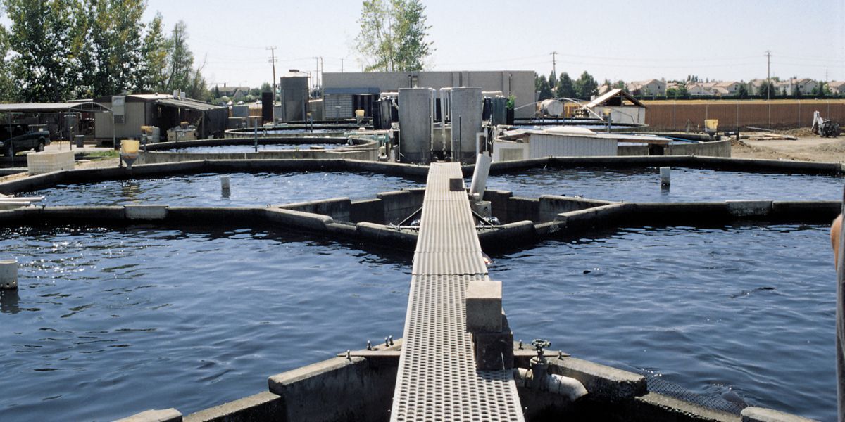 California: Monitoring Water Quality at a Recirculating Aquaculture Facility