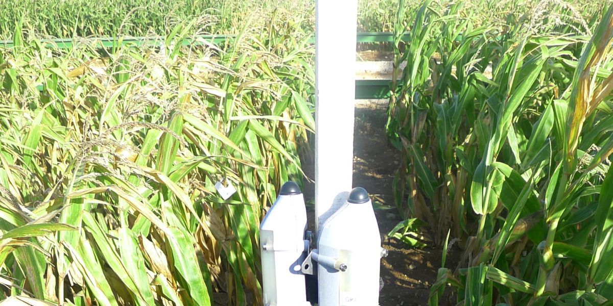 France: Studying Crop Yields