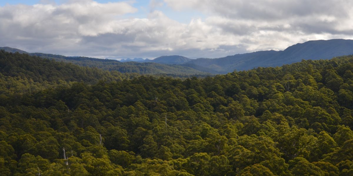 Australia: Ecological Research