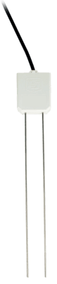 CS625